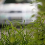 web_ostsee_3240